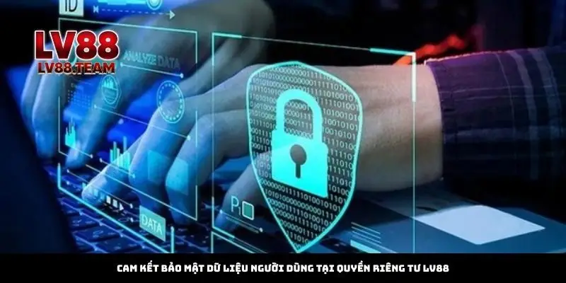 Quyền Riêng Tư 2 Cam kết bảo mật dữ liệu người dùng tại Quyền riêng tư LV88